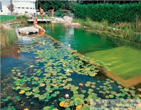 生态泳池