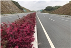 惠清高速公路与管理中心园林景观工程
