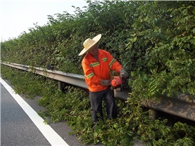 京珠南高速公路绿化日常养护工程