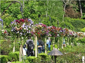 海南私家小花园景观设计