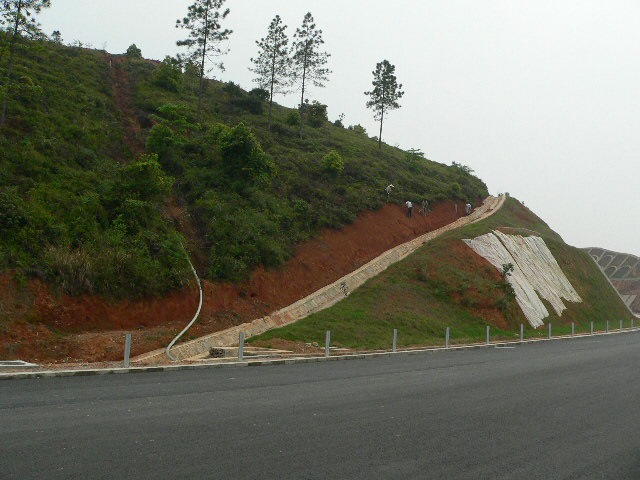 河龙高速边坡修复