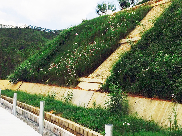 揭博高速公路边坡喷草