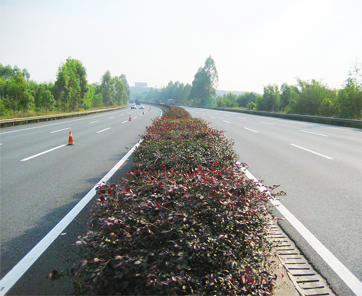 京珠南高速公路绿化工程