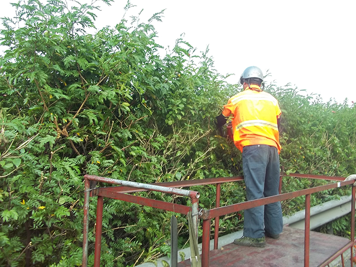 京珠南高速公路绿化日常养护工程