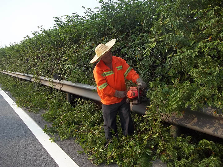 京珠南高速公路绿化日常养护工程