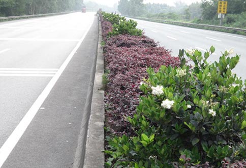 京珠南高速公路绿化日常养护工程