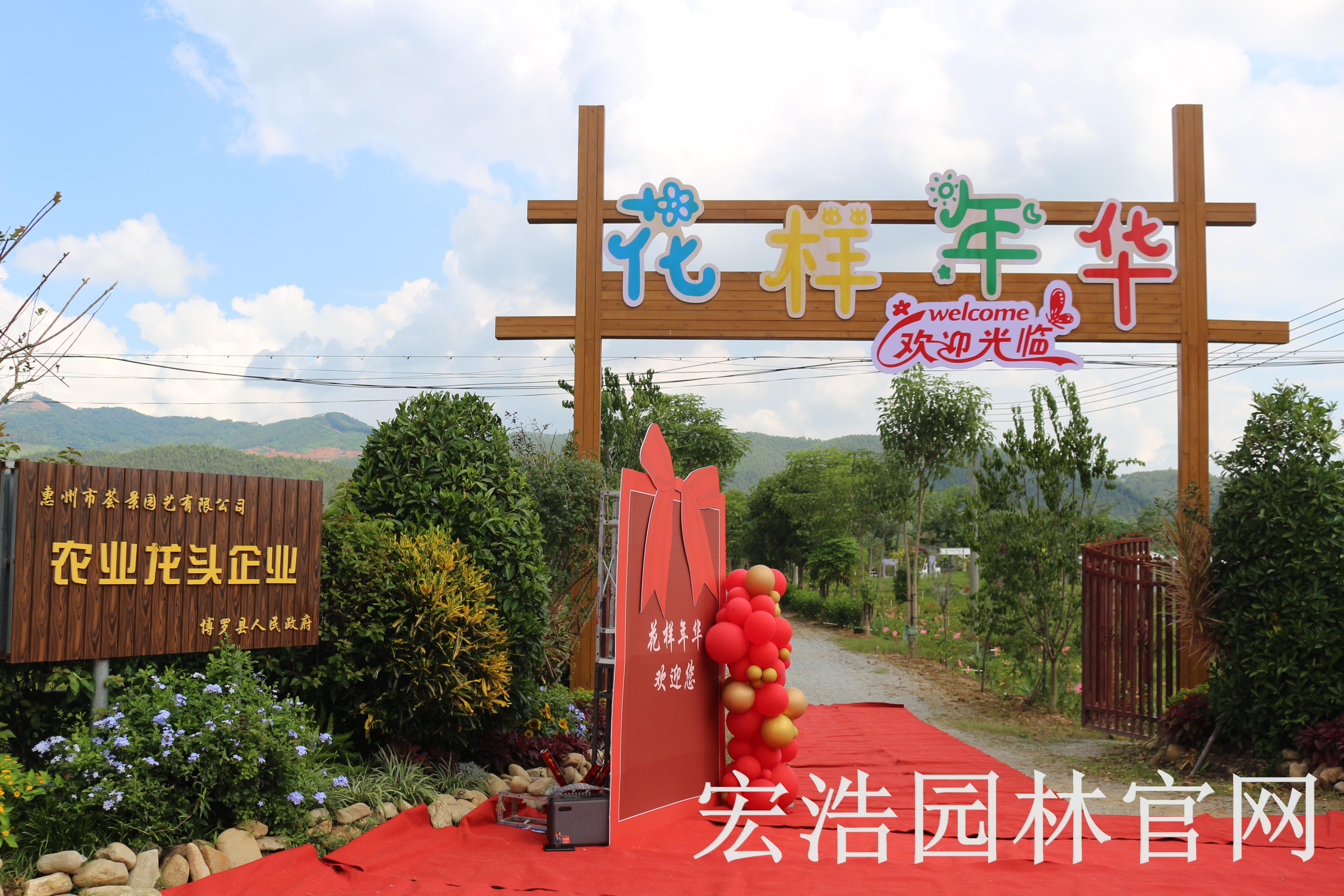 博罗县坳头村花样年华